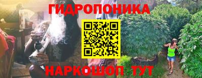 гашишное масло Сланцы